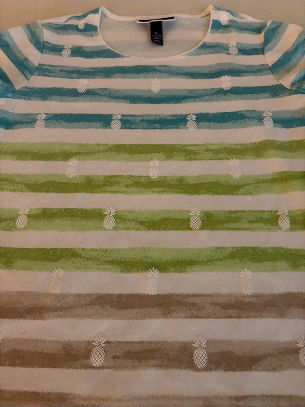 Karen Scott Striped Tee in Blue, Green, and Tan with Pineapple Motif